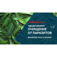 Эвкалиптовая чистка