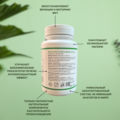 Гастрокур  месячный курс 3 упаковки