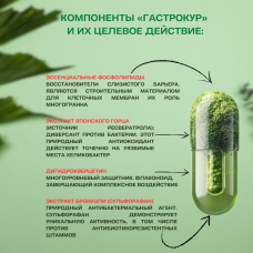 Гастрокур  60 капсул